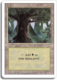 Forest - Tilfældigt Basic Land (Magic the Gathering MTG Random)